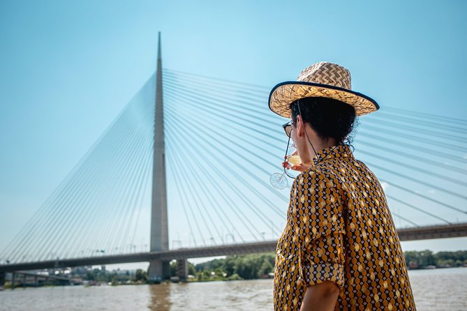 2 hours / Sightseeing Boat cruise Drinks Included - Entering Zemun on a modern pontoon boat