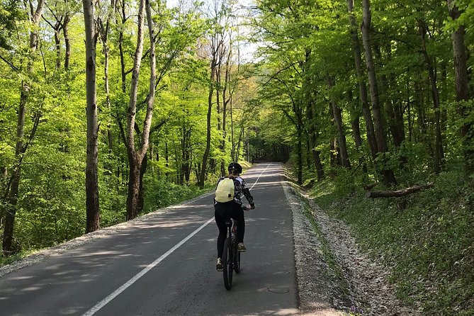 Avala & Kosmaj Bike Tour - Private Transfers and Real Cycling Time
