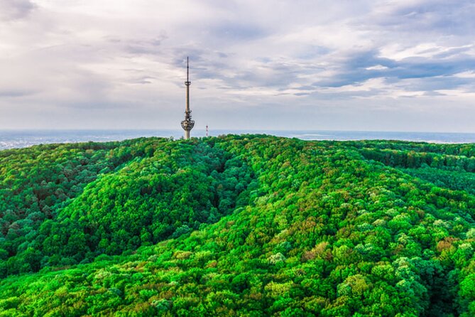 Avala Mountain Private Tour - Mount Avala: protected nature and a geology story you can see
