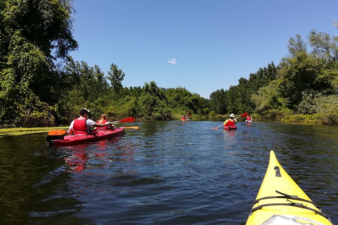 Belgrade Amazon Kayak Adventure - Quick Hits: What Makes This Belgrade Kayak Adventure Special