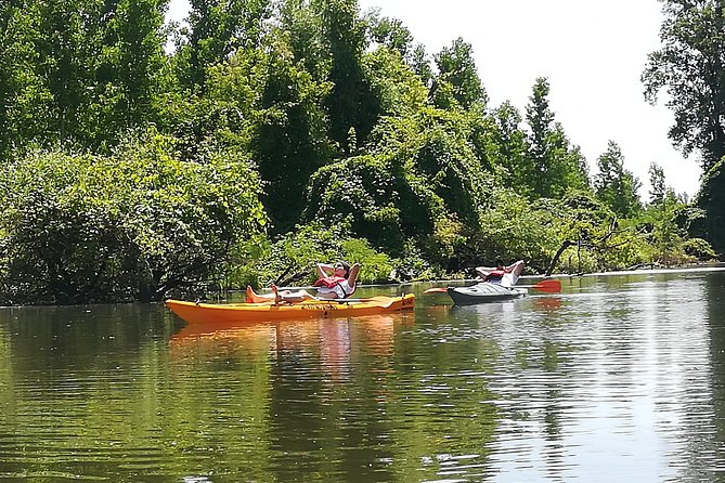 Belgrade Amazon Kayak Adventure - Belgrade’s Amazonia: Danube Channels Where Nature Feels Closer Than You Think