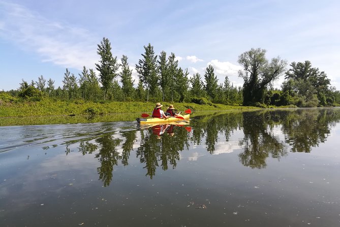 Belgrade Amazon Kayak Adventure - Guides, Instruction, and the “No Stress” Energy You’ll Actually Feel