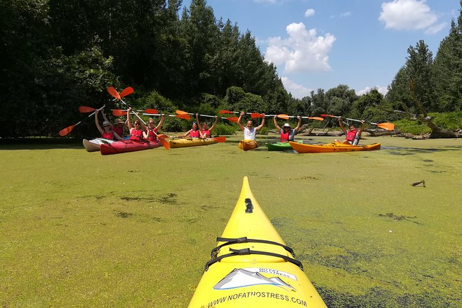 Belgrade Amazon Kayak Adventure - Beljarica Wetland, “Belgrade Amazonia,” and What You’ll Be Watching For