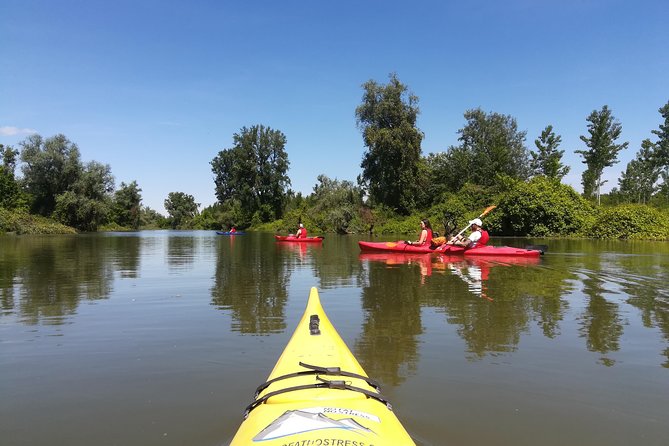 Belgrade Amazon Kayak Adventure - Weather and Conditions: Plan for a Nature Trip That Has Limits