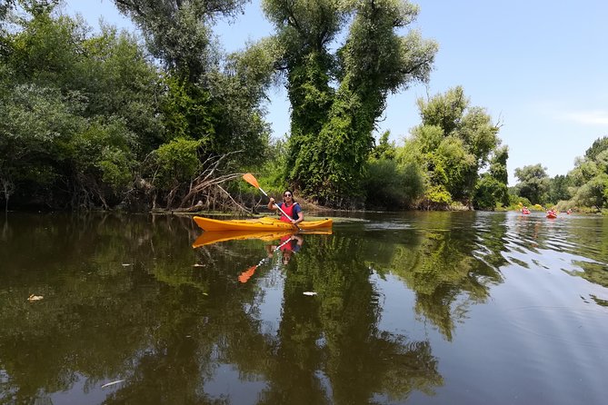 Belgrade Amazon Kayak Adventure - Price and Value: $278.66 Per Group Up to 6