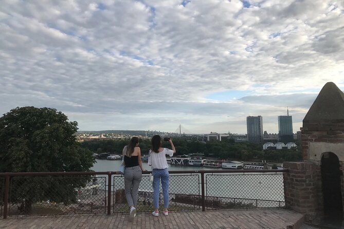 Belgrade center walking tour with Rakija, Cocktails and Burgers - Kalemegdan viewpoints and the Orthodox church and school details you can’t ignore