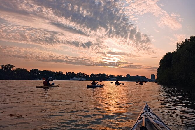 Belgrade sunset kayak tour - Mosquitoes at the Docks: The Main Drawback and How to Beat It
