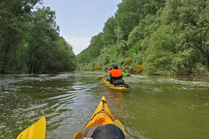 Belgrade War Island Kayak Tour - Sava Stop: Marshlands, Birds, and a Slower Pace