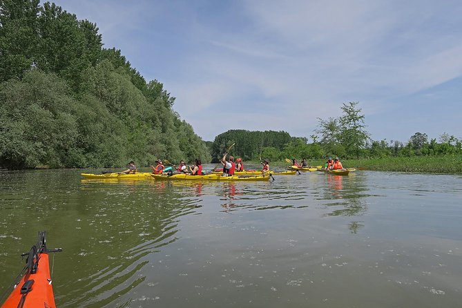 Belgrade War Island Kayak Tour - Veliki Galijaš Canal-Lake: Why a Waterway Inside a River Island Matters