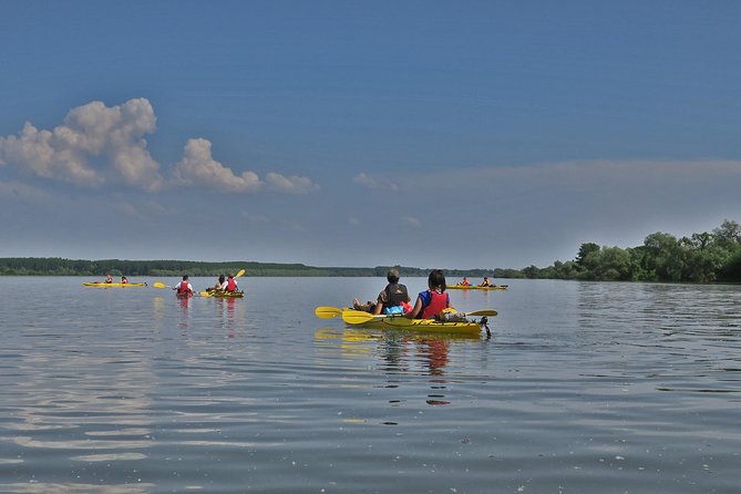 Belgrade War Island Kayak Tour - Belgrade Skyline Views: The Best Kind of City Photo