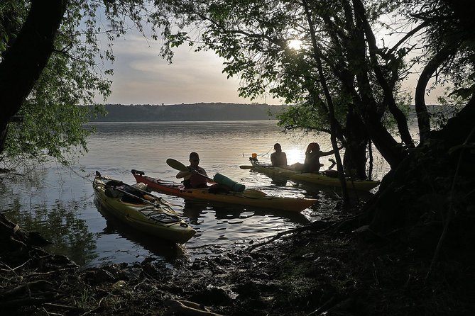 Belgrade War Island Kayak Tour - Where to Meet and How to Get There Without Stress