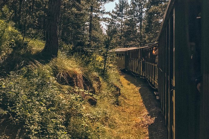 From Belgrade: Best of West (Drina House, Drvengrad & Sargan 8) - When the Train Is Closed in Winter: Tara or Zlatibor Instead