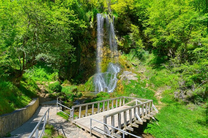 From Belgrade: Full day trip to Zlatibor Mountain - Zlatiborsko Jezero: Lunch, Lake Strolls, and Souvenir Time