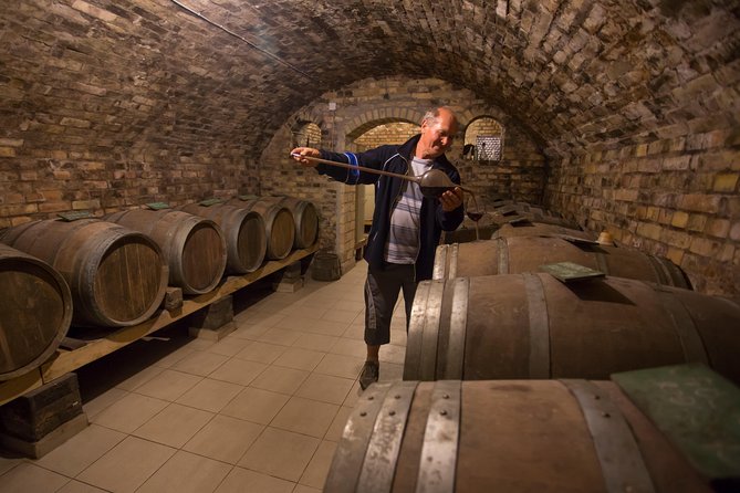 From Belgrade: Novi Sad and Sremski Karlovci Tour - Should you book the Belgrade to Novi Sad and Sremski Karlovci tour?