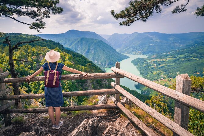 Full Day Trip from Belgrade: The Drina River House And Tara Park Tour - Drina River House: the famous cabin, and the flood story behind it
