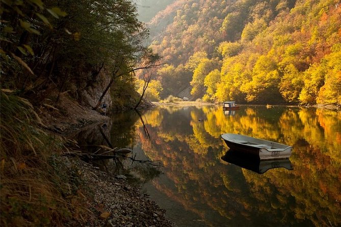 Full Day Trip from Belgrade: The Drina River House And Tara Park Tour - Transportation, group size, and why it matters more than you think