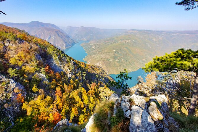 Full Day Trip from Belgrade: The Drina River House And Tara Park Tour - Tara National Park: viewpoints for the gorge feel and real nature time