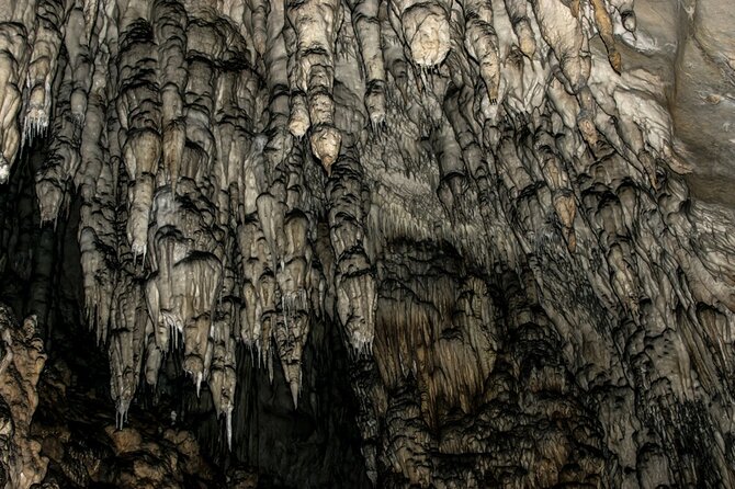Full Day Trip from Belgrade: Uvac Nature Reserve Tour - Price and what you really pay for once you’re there