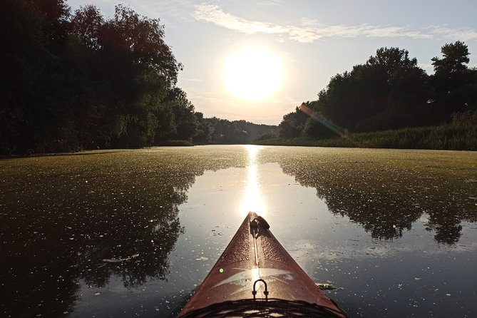 Great War Island Kayak Adventure - Great War Island Kayaking: the Belgrade nature break you can do in 2 hours