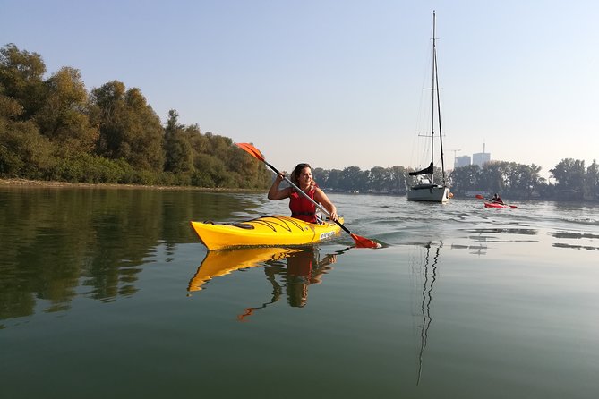 Great War Island Kayak Adventure - Who should book this Great War Island kayak tour