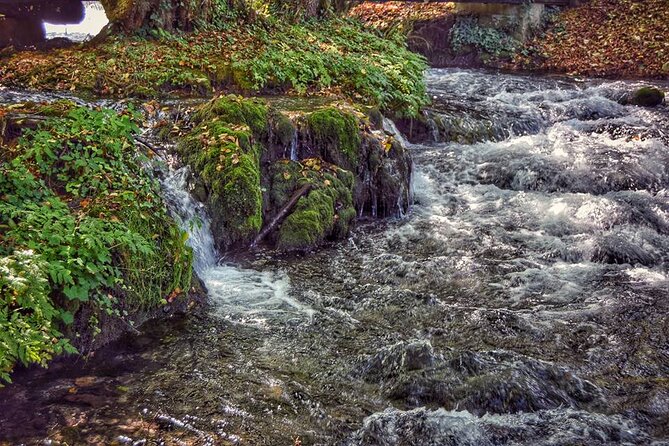 National park Tara - private day tour - Drina River House: coffee, photos, and an odd border reality