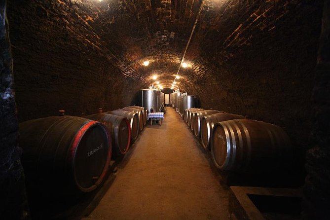 Novi Sad and Sremski Karlovci private tour with wine tasting - Novi Sad city centre walk, multicultural streets in 90 minutes