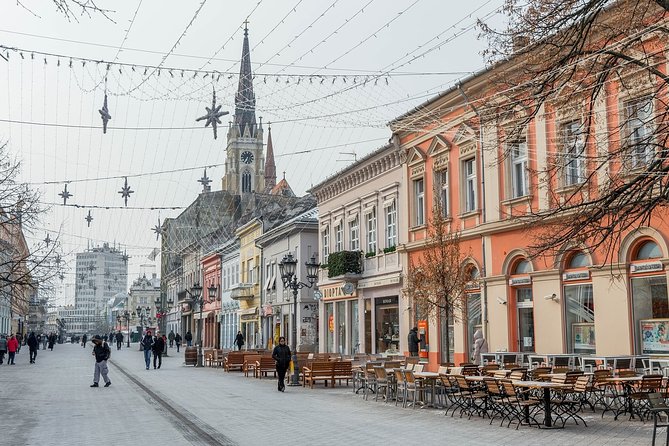 Novi Sad and Sremski Karlovci Wine Tour From Belgrade - Key reasons this Belgrade wine day trip works well