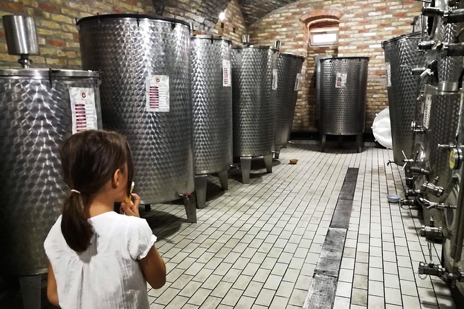 Novi Sad Saturday Full day trip - Stop 3 in Sremski Karlovci: wine culture, churches, and a quick taste of old Serbia