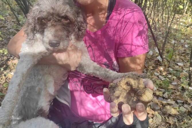 Private Guided Truffle Hunting Tour in Serbia with Lunch - The dog team effect: why it feels smarter than searching randomly