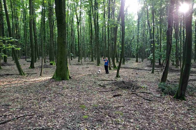 Private Guided Truffle Hunting Tour in Serbia with Lunch - Lunch after the hunt: truffle pasta, truffle jam bruschetta, and local wine