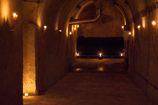 Private Wine Tasting by Party in Belgrade - Who This Wine Tasting Is Best For