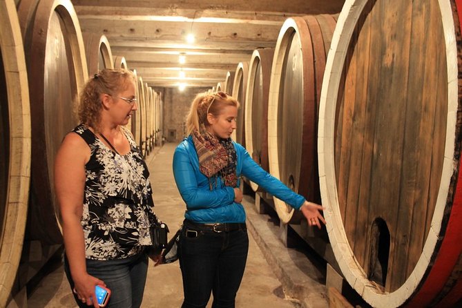 Private Wine Tour in Royal Region - How the pacing and route feel in real life