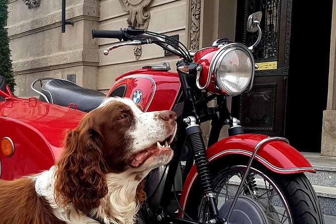 Sidecar Tours Belgrade - Price and what $91 buys you in real life