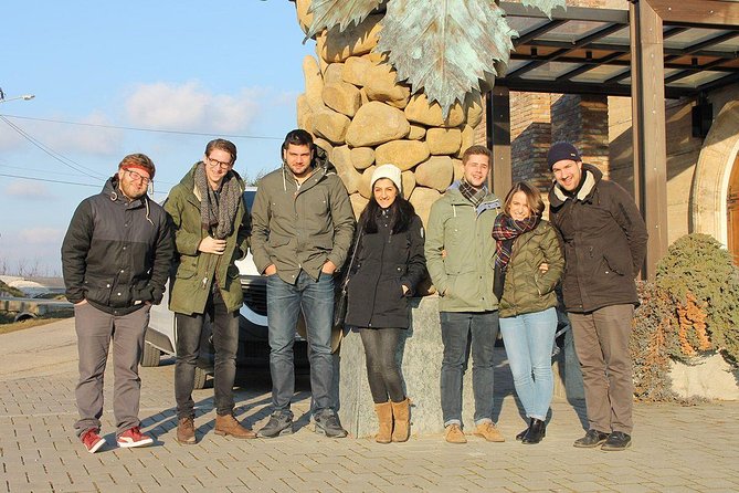 Small Group Wine Tour in Sumadija Wine Region - Stop 1: Despotika Winery and the rare Morava moment