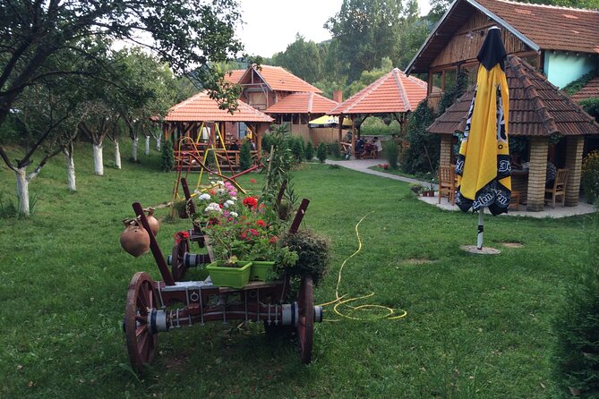 Stara Plana Day Tour - Price and Value: Why $213.03 Can Make Sense