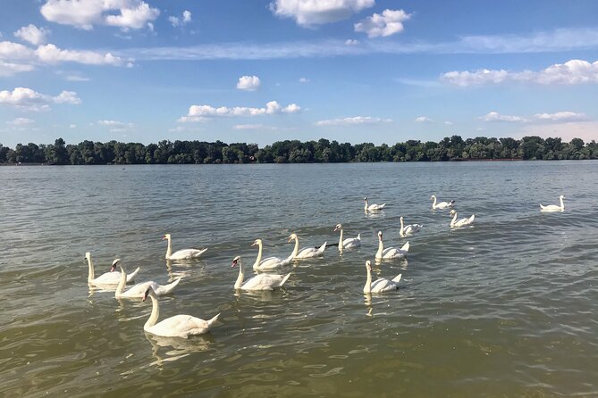 Your Own Belgrade: Unexpected Treasures of the City - A Belgrade Walk That Moves Beyond the Usual Stops